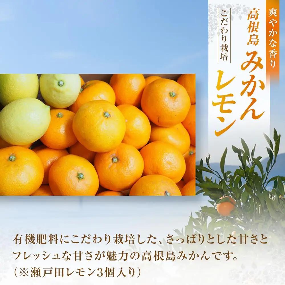 【先行予約】こだわり栽培　高根島みかん 5kg  レモン3個入り ＜2026年11月下旬より発送開始＞