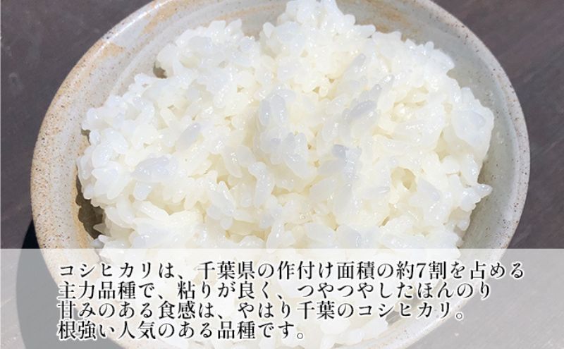 【定期2ヶ月】新米 コシヒカリ 乾式無洗米 10kg（5kg×2）令和6年産