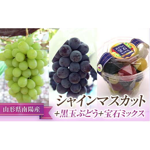 【令和8年産先行予約】 シャインマスカット ＋ 黒玉ぶどう ＋ 宝石ミックス 《令和8年9月中旬～発送》 『漆山果樹園』 山形県 南陽市 [663-R8]