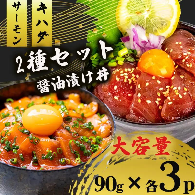 2種 醤油 漬け丼 90g×各3パック サーモン キハダマグロ