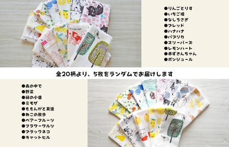 抗菌防臭！ふきぴか キッチンタオル 5枚セット 