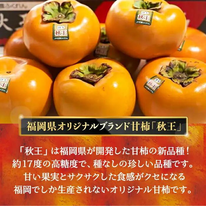 【先行予約】秋王柿 3kg 8-12玉 VBY007 たねなし柿