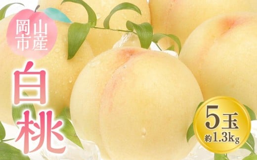 桃 2026年  白桃 5玉 合計約1.3kg  【桃 もも 岡山県産 国産 フルーツ 果物 新鮮 おすすめ 人気 岡山県 岡山市 国産 先行予約 ギフト】