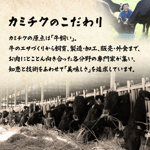 国産黒毛和牛シロホルモンセット840g A3-383枕【配送不可地域：離島】【1694678】