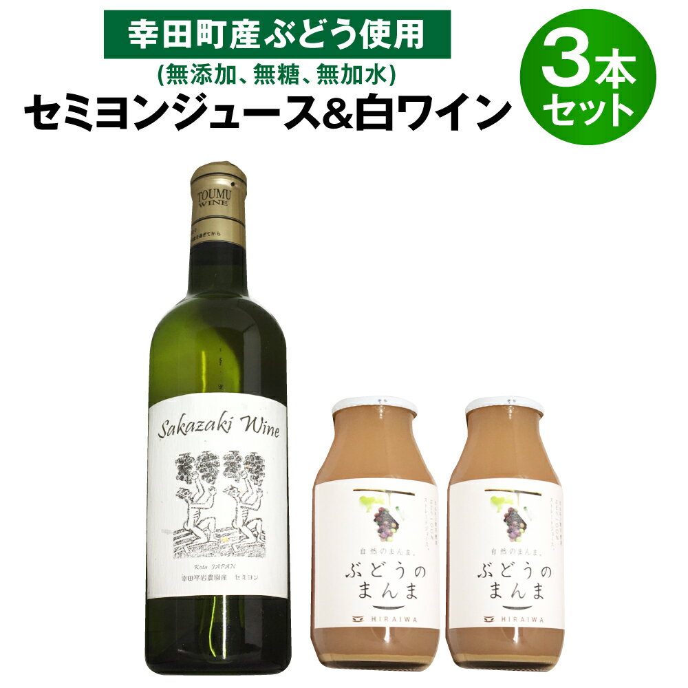 【ふるさと納税】100%セミヨンジュース180ml×2本 セミヨンの白ワイン720ml×1本 詰め合わせ 合計3本 幸田町産ぶどう使用 無添加 無糖 無加水 アルコール 飲料 ワイン ジュース セミヨン ぶどう 葡萄 種有ぶどう 国産 愛知県 幸田町 送料無料