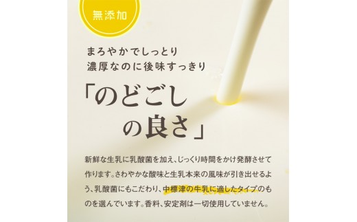 【定期便：全3回】【無添加】北海道 のむヨーグルト500ml×3本