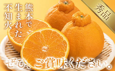 不知火 デコポン 同品種 約2k 日本フルーツ株式会社 熊本県 荒尾市 《1月下旬-2月末頃出荷予定》 デコポン 果物 秀品 フルーツ スイーツ デザート ギフト ご贈答