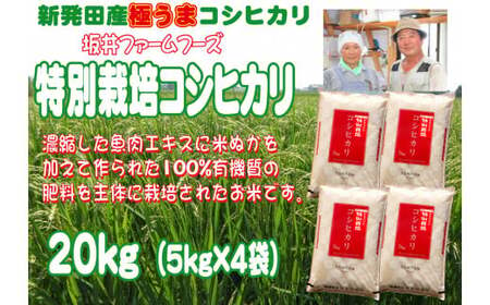 令和5年産 新潟県産 坂井ファーム 特別栽培米コシヒカリ 20kg （5kg×4袋） 【 新潟 新発田 米 玄米 こしひかり 5kg 20kg D84 】