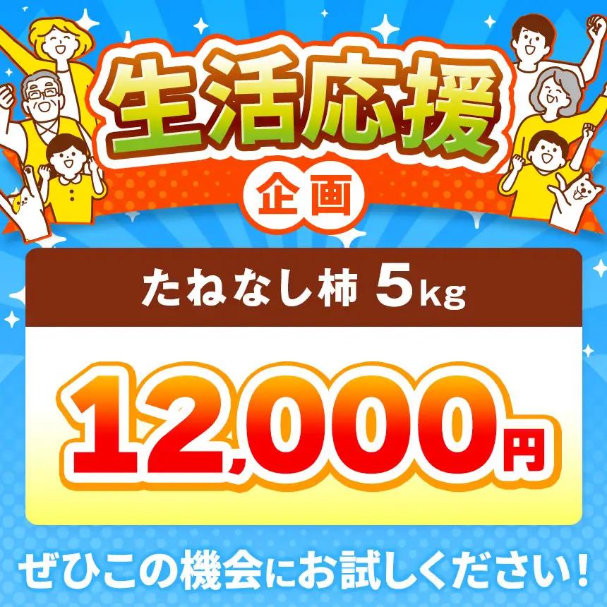  【 先行予約 】 大人気！ リピーター多数！ たねなし柿 約 5kg 箱 （18～24個入） | 西岡農園