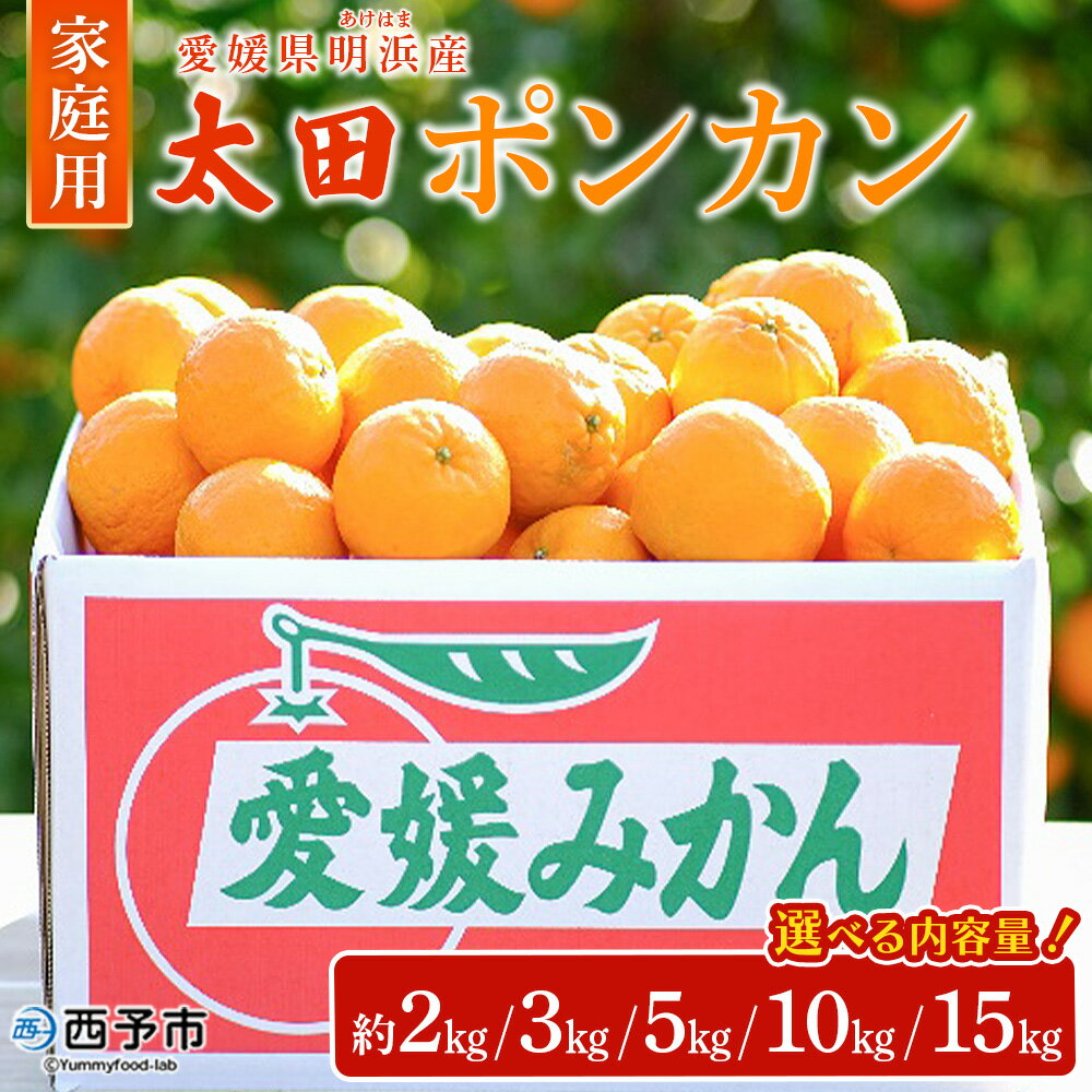 【ふるさと納税】＜太田ポンカン 家庭用 約2／3／5／10／15kg＞ 果物 くだもの フルーツ みかん ミカン 柑橘 太田ぽんかん おおたぽんかん オオタポンカン ぽんかん 訳あり ご自宅用 特産品 株式会社笑丸 愛媛県 西予市【常温】『2026年1月中旬～1月下旬迄に順次出荷予定』