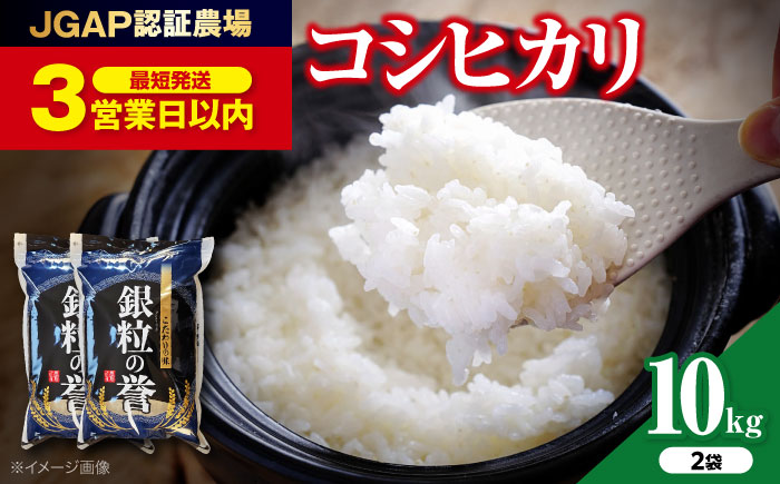 【令和7年産米】 こしひかり 10kg【スピード発送】米 白米 お米 ご飯 コシヒカリ 三次市/アグリ君田 [APDC002]