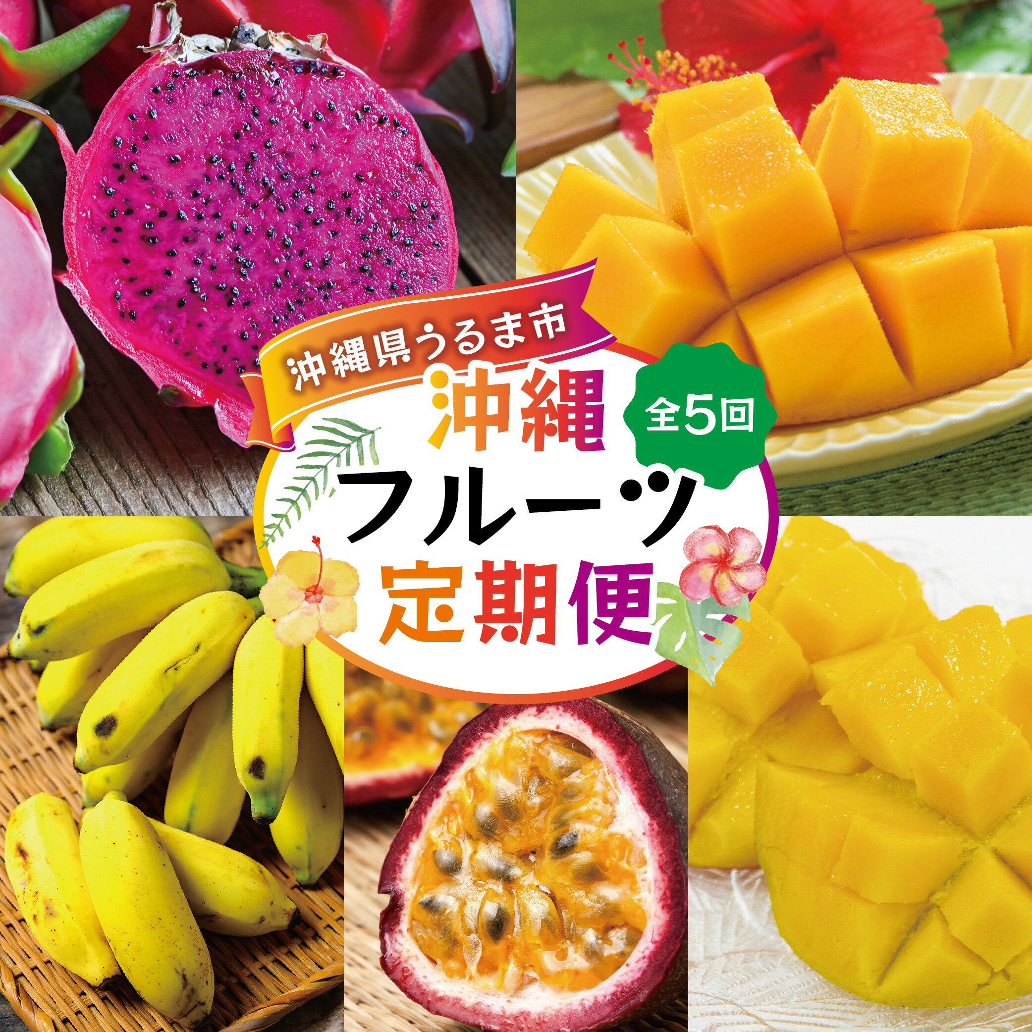 【ふるさと納税】沖縄フルーツ定期便【5回】フルーツ定期便 果物定期便 パッションフルーツ パッション マンゴー ドラゴンフルーツ アップルバナナ バナナ フルーツ 定期便 果物 南国フルーツ 沖縄 おきなわ うるま 旬 詰め合わせ セット 季節 旬 5回 産地直送