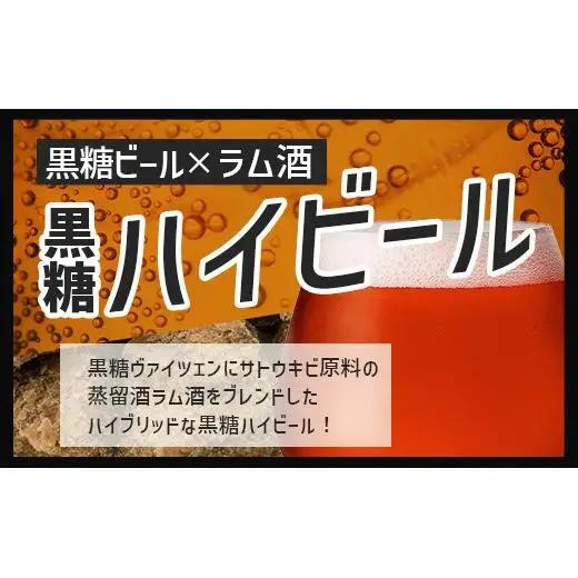V-26 石垣島ハイビール 24本セット