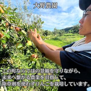 サンつがる 3kg箱＜8月下旬より発送＞