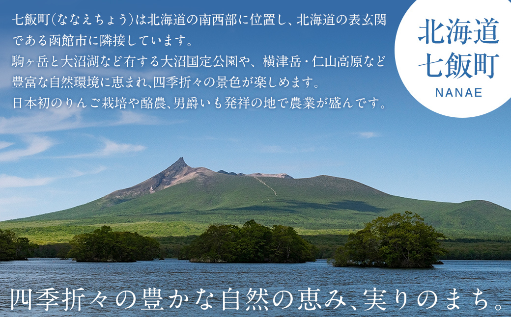 【先行予約 令和8年10月発送】令和8年産 渋谷農園のゆめぴりか 10kg (5kg×2袋) NABT004