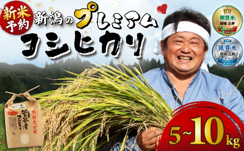 
                  「今年は金賞とるんだあ！」 新米予約 新潟 プレミアム コシヒカリ 5kg 10kg（5kg×2袋） 令和8年産 先行予約 新米 特別栽培米 こしひかり 米 新潟 プレミアムコシヒカリ 精米 白米 ご飯 おにぎり 米 新潟県産 お米 こめ コシヒカリ 居城農園 菅谷 新潟県 新発田市 D78_2026P
                