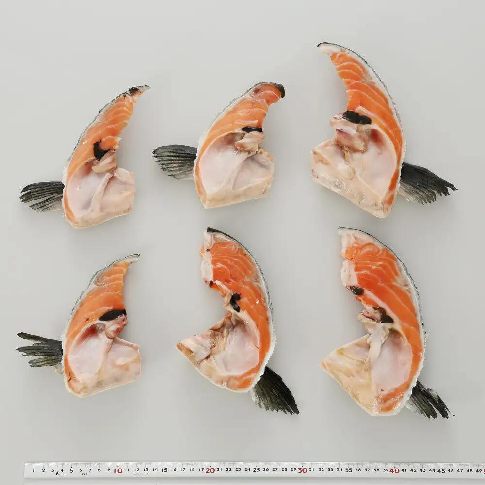 カマ エンペラーサーモン 1kg サーモン_T005-0870