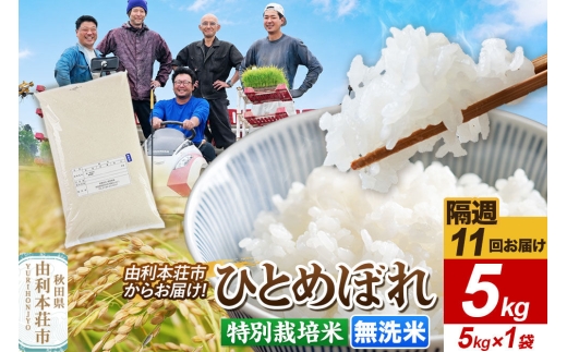 《2週間毎お届け》【定期便11回】令和8年産 新米受付【無洗米】ひとめぼれ 5kg（5kg×1袋）特別栽培米 秋田県産 [ひとめぼれ 新米予約 米 お米 無洗米 特別栽培米 ブランド米 食卓 おにぎり 秋田県産 秋田]
