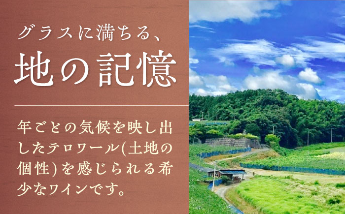 内子夢わいん ロゼ (巨峰) 約720ml 2本 / ワイン ロゼワイン わいん wine お酒 酒 洋酒 愛媛県 愛媛 内子町 国産ワイン 日本ワイン 果実酒 送料無料 人気 家飲み 宅飲み 美味しい 【企業組合内子ワイナリー】 [BKAG011]