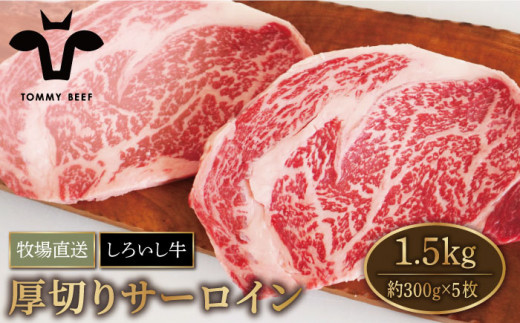 
【牧場直送】佐賀県産 しろいし牛 厚切り サーロインステーキ 1.5kg（約300g×5枚）【有限会社佐賀セントラル牧場】 [IAH040]
