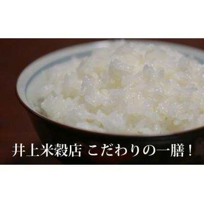 ふるさと納税 四万十町 井上米穀店　仁井田米　にこまる　精米　5kg |  | 01