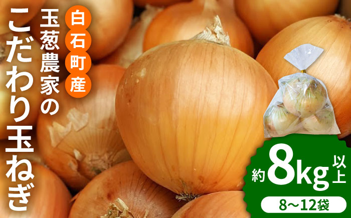【先行予約】小分けがうれしい！玉葱農家のこだわり 玉ねぎ 約8kg以上（8袋から12袋）【玉葱農家 陣内ちひろ】玉葱 たまねぎ オニオン 晩生 [IAO020]