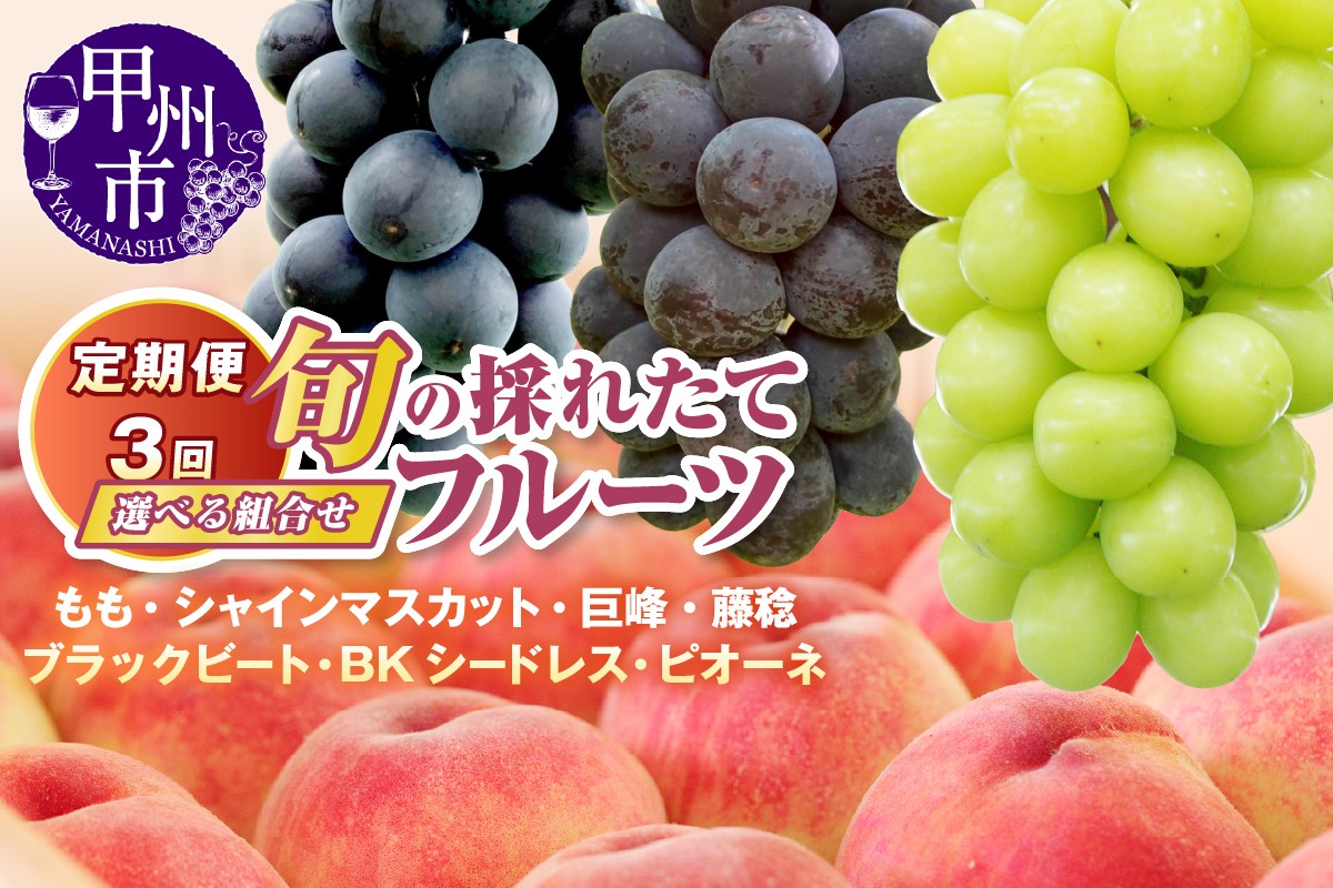 
                  《選べる組み合わせ》【定期便】旬の採れたて3回定期便（桃/巨峰/ブラックビート/BKシ―ドレス/藤稔/ピオーネ/シャインマスカット）【2026年発送】（HO） 【桃 もも モモ 巨峰 ブラックビート BKシ―ドレス 藤稔 ピオーネ シャインマスカット 葡萄 ぶどう ブドウ 令和8年発送 期間限定 山梨県産 甲州市 フルーツ 果物】
                