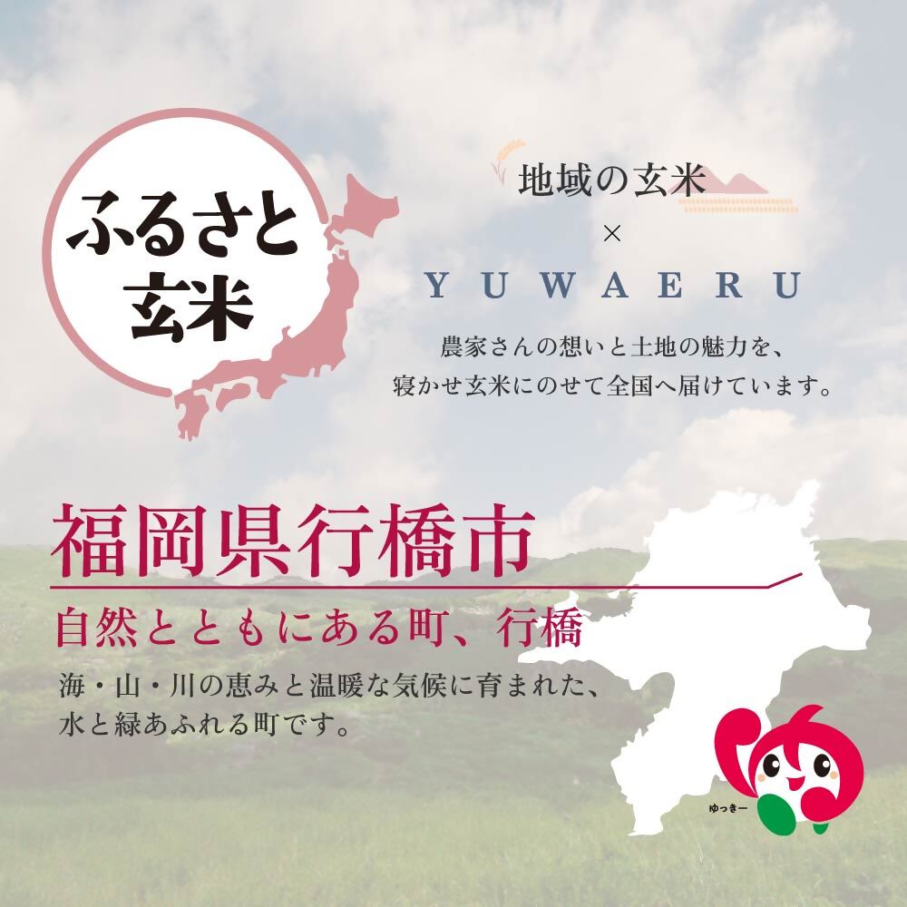 AI-187_【ふるさと玄米】寝かせ玄米ごはんパック　福岡県行橋市産【160g×6食セット】
