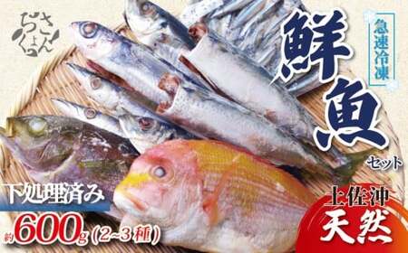 冷凍鮮魚セット 600g(2~3種) 下処理済み 冷凍鮮魚 ［1712］