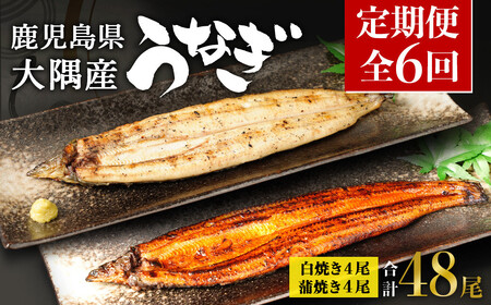 【定期便全6回】 鹿児島県 大隅産 千歳鰻 白焼き 4尾・ 蒲焼 4尾 （1尾110g～130g）| 白焼き