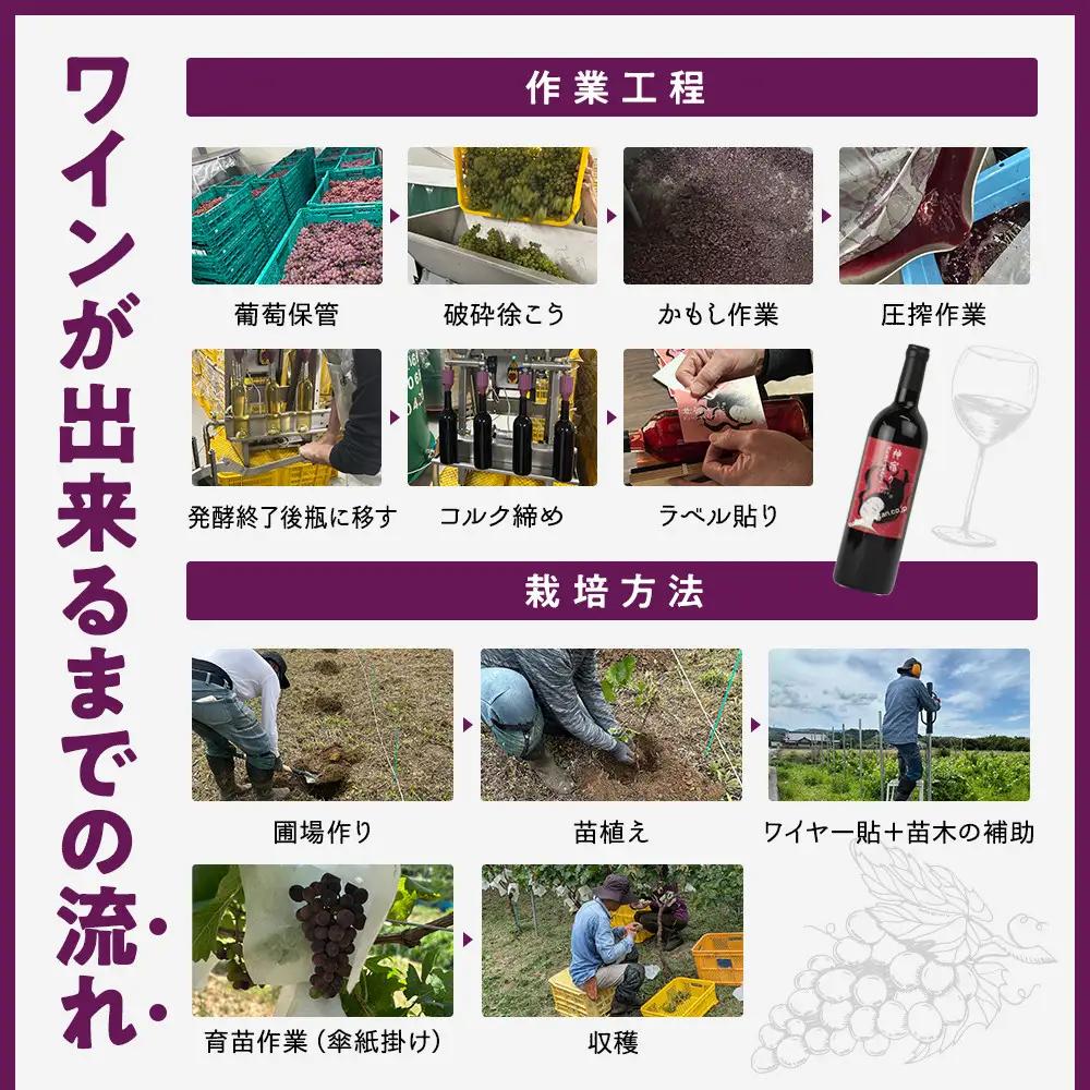 紀乃國わいん工房 神宿り デラウェア 2025 750ml