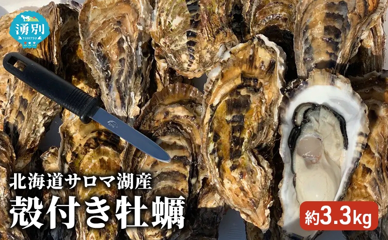 
                  北海道 サロマ湖産 殻付き 牡蠣 約3.3kg かき カキ 海鮮 魚介 国産 貝付き 生食 焼き牡蠣 蒸し牡蠣 冷蔵 産地直送 オホーツク 魚貝類 生牡蠣 栄養分 豊富 さっぱり 臭みない 蒸す プリっプリ 美味しい 
                