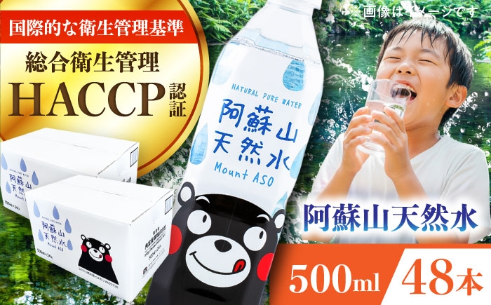 
                  阿蘇山天然水 500ml 計48本(24本×2ケース)  / ミネラルウォーター 天然水 ペットボトル 水 500ml 阿蘇の天然水【丸富産業株式会社】 [BHDG003]
                