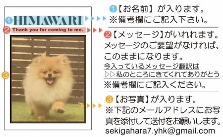 ペットの可愛いお写真をキーホルダーに♪うちの子アクリルキーホルダー（デザインB） 【A】ホワイト