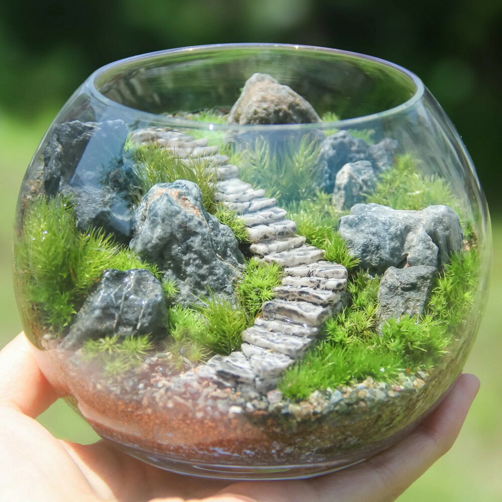 【ふるさと納税】《苔テラリウム・コケリウム》階段の風景 ボウルLL | 鎌倉市 苔むすび合同会社 苔 インテリアグリーン 自然派 室内植物 癒やし グリーンライフ お取り寄せ ふるさと納税 人気　おすすめ　送料無料