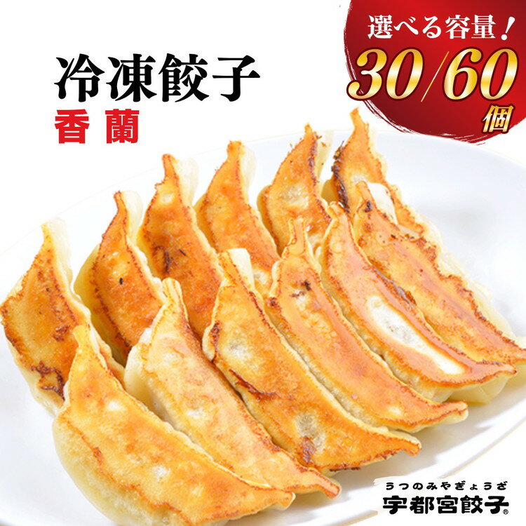 【ふるさと納税】【選べる内容量】宇都宮餃子【香蘭】餃子 【 冷凍餃子 ぎょうざ ギョウザ 冷凍食品 惣菜 栃木県 宇都宮市 】※離島への配送不可