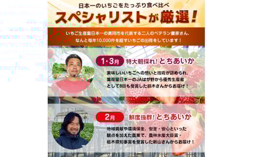 【栃木県共通返礼品】【定期便3回】日本一のいちごたっぷり食べ比べ定期便 | いちご とちあいか  朝採れ たっぷり ぎっしり サイズ ジューシー  大粒 新鮮 甘い  数量 限定 美味しい 果物 共通返礼品 フルーツ デザート 栃木県 那珂川町 送料無料