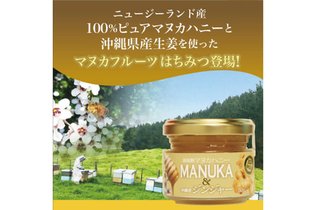 マヌカハニー＆沖縄県産ジンジャー 50g×2個｜はちみつ ハチミツ 蜂蜜 マヌカハニー ジンジャー 生姜 ビタミン お土産 ギフト プレゼント お祝い 人気 沖縄 沖縄県 豊見城市(DK006)