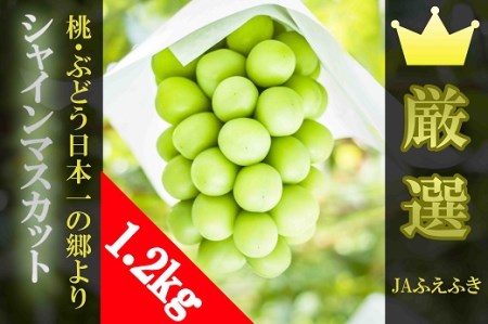 【2026年発送★先行予約】 JAふえふき シャインマスカット 2房（約1.2kg） 010-00826y