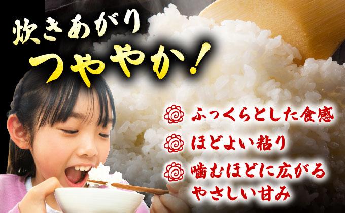 《20営業日内発送》福岡県産米 元気つくし 5kg 精米 令和６年産【精米 6年産 国産 福岡県産 お米 ブランド米 5kg げんきつくし】CY011