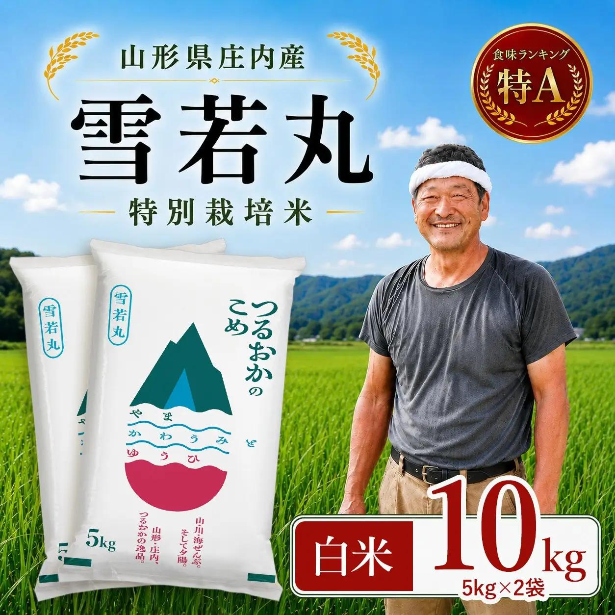 【令和7年産】 特別栽培米 雪若丸 精米 10kg(5kg×2袋)　山形県 庄内産 　| ゆきわかまる 10キロ 米 お米 コメ 白米 食品 ご飯 ごはん 美味しい おいしい ブランド米 庄内米 エコ包装 おすすめ 人気 山形県 鶴岡市 東北 国産 お取り寄せ SDGs未来都市鶴岡 返礼品