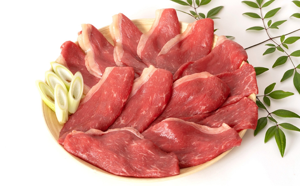 【訳アリ】 くまもと あか牛 すきやき しゃぶしゃぶ用 600g (3～4人前) 牛肉