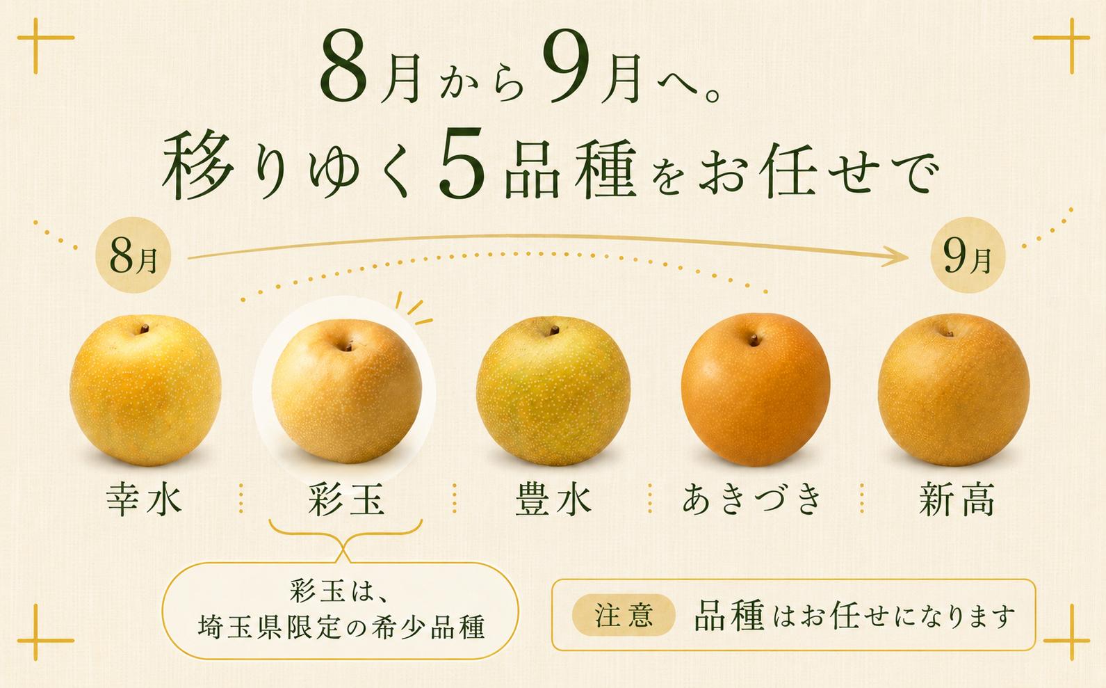 梨 なし 彩玉 さいぎょく 幸水 こうすい 豊水 ほうすい あきづき 新高 にいたか