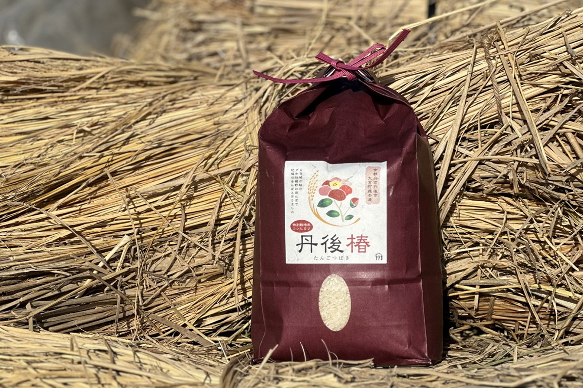令和8年産 特別栽培米コシヒカリ 丹後椿（京丹後森本産） 2kg【定期便3回】　AG00028