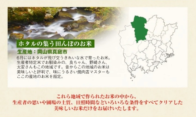 ＜定期便 全3回＞ 令和7年新米 真庭市産きぬむすめ 無洗米 10kg (5kg×2袋) ×3回 岡山県 竹中商店 先行予約 米 【tkns-tkb022】 10kg(5kg×2袋)×３回