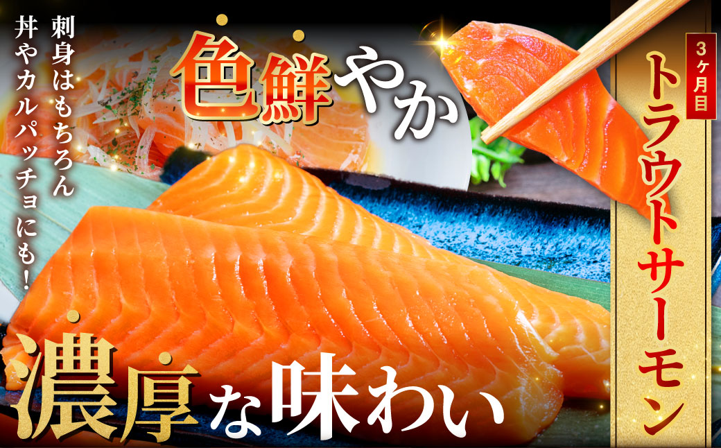 【3か月定期便】北の味覚海鮮3点定期便 北洋天然沖獲り甘塩紅鮭【ロシア産】3切真空×3パック(9切） サーモン400g ほたて500g 海鮮丼 セット 鮭 シャケ サケ 魚卵 海鮮 海鮮セット 海鮮醤