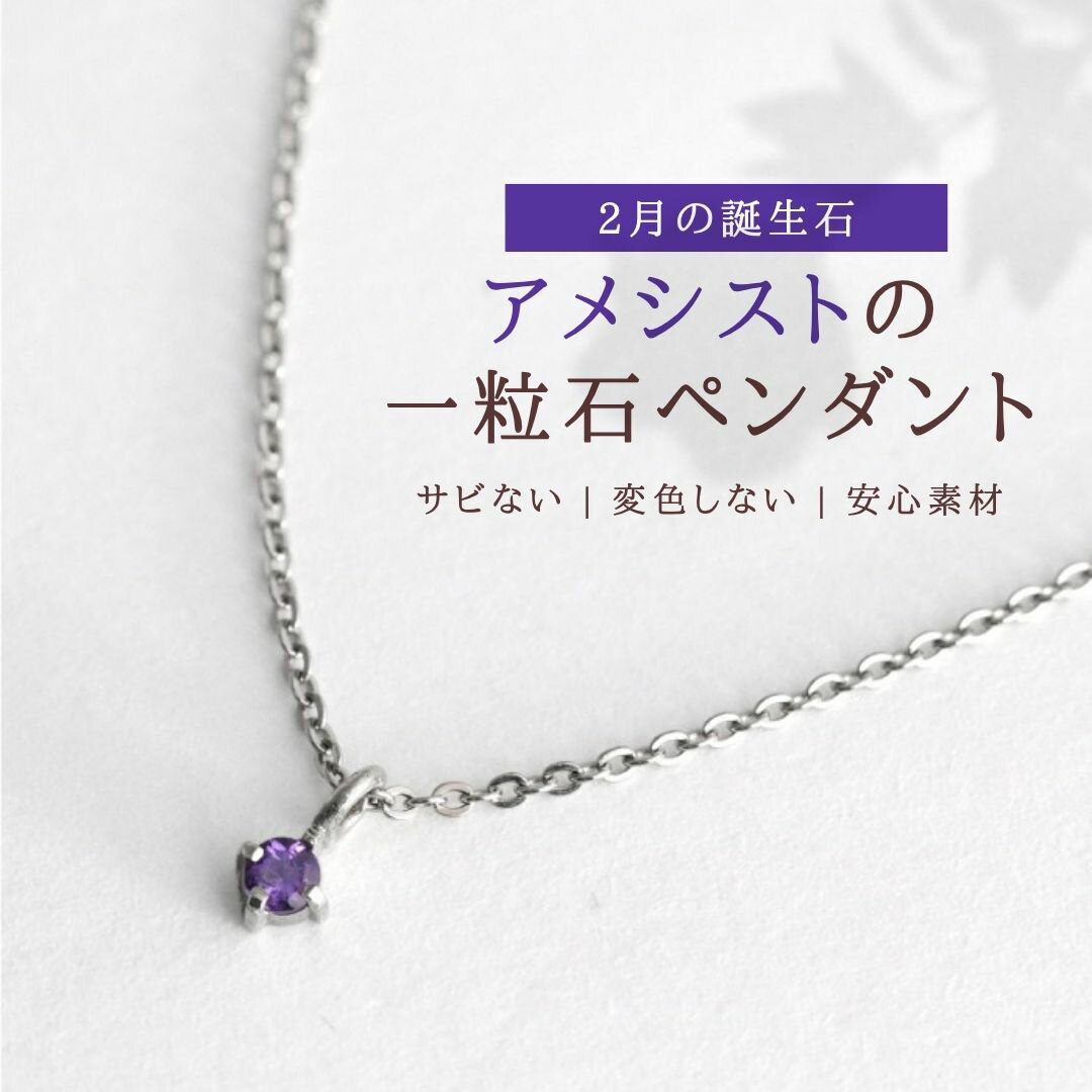 【ふるさと納税】純チタン アメシスト 一粒石 ペンダント 誕生石 ネックレス 変色しにくい ギフト 新潟県 弥彦村