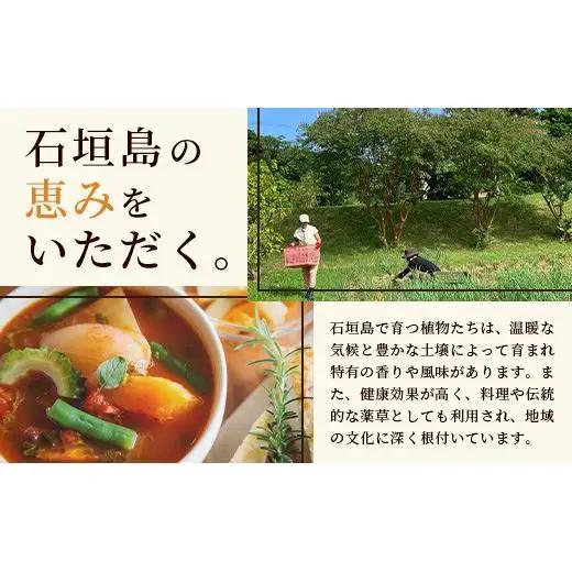 チャンプルの素　60g　袋入×2袋　PN-5