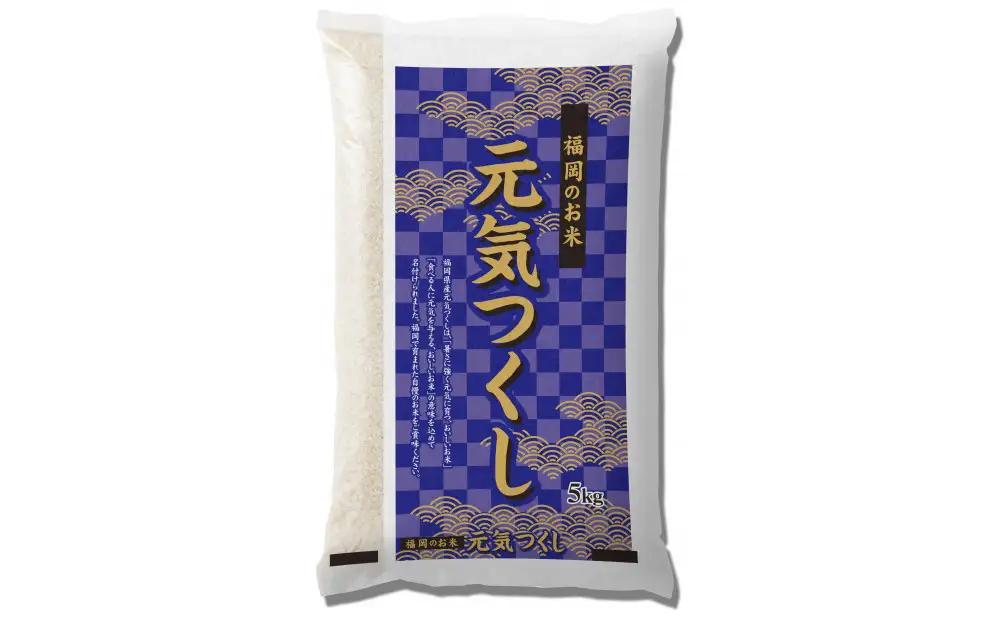 【特A評価獲得！令和7年産】福岡県産 米 元気つくし 15kg セット ( 5kg×3袋 )