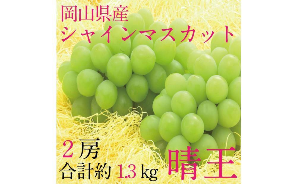 
            [HS]ぶどう 2025年 先行予約 9月・10月発送 シャイン マスカット 晴王 2房（合計約1.3kg）【ブドウ 葡萄  岡山県産 国産 フルーツ 果物 ギフト】
          